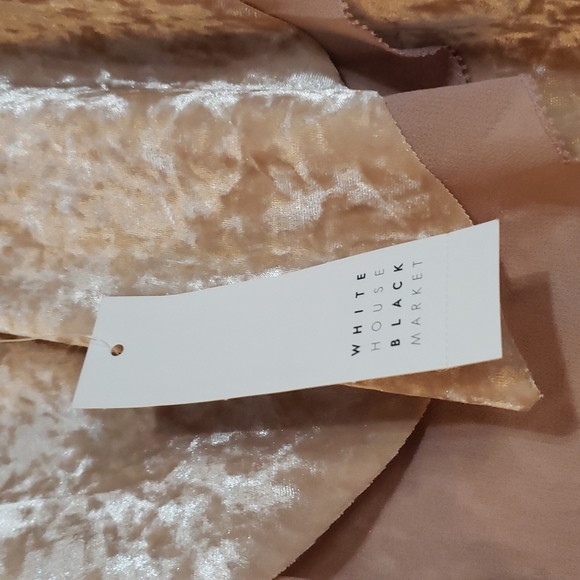 ⭐NWT WHBM Velvet Ruffle Tie Top - Picture 5 of 10